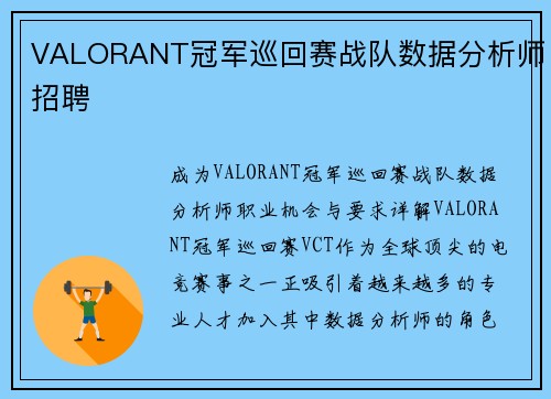 VALORANT冠军巡回赛战队数据分析师招聘