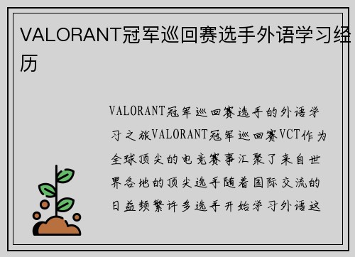 VALORANT冠军巡回赛选手外语学习经历