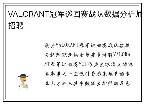 VALORANT冠军巡回赛战队数据分析师招聘